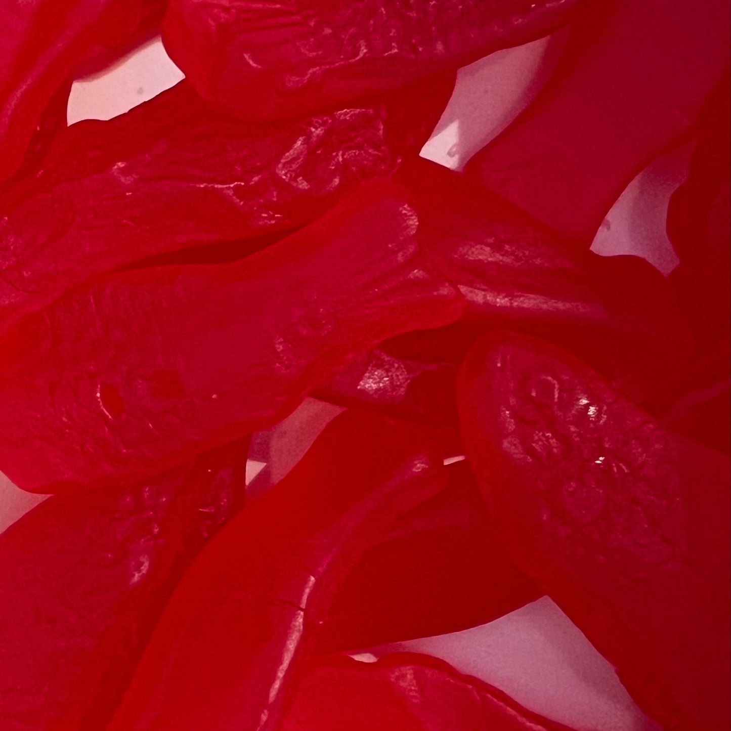 Red Swedish Fish