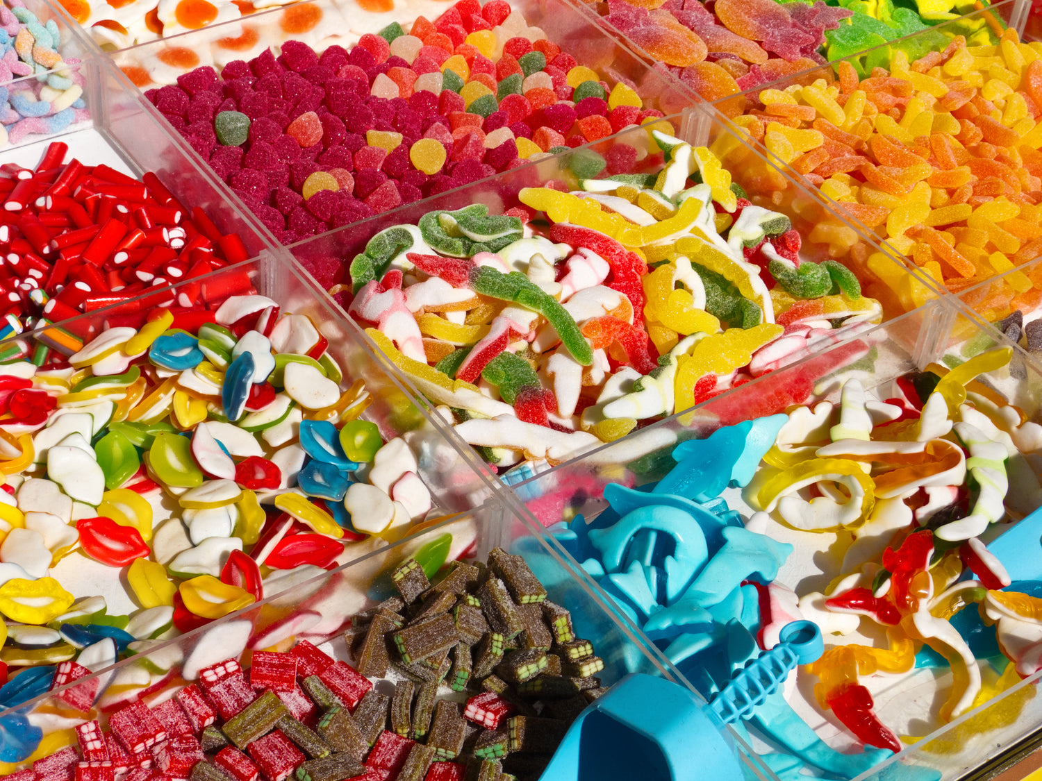 Gummy Candy